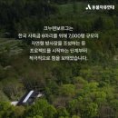인천종합나무병원
