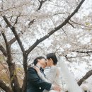 여의도 사랑재 본식 스냅 촬영 후기 feat 고호스튜디오