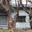 구 진해해군통제부 병원장 사택 이미지