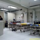 리마(LIMA) 이미지