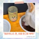 아이캔유통 | 테라카니스 캔 습식 사료 안먹는 강아지에게 급여해본 내돈내산 솔직후기