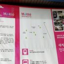 오월분식 이미지