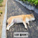 참 좋은 농장 이미지