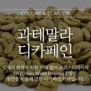 카페과테말라