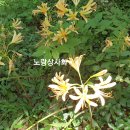 ~명산탐방~~ 이미지