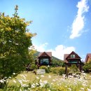 정선펜션1박2일 이미지