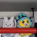 21세기동물병원 | 겨울에는 내게 여행 오세요.