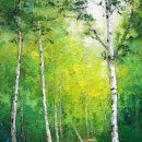 자작나무 숲 이미지