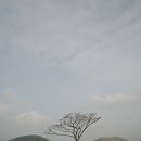 한나무투어 이미지
