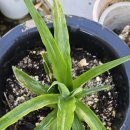 은성농약사 이미지