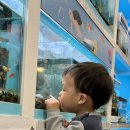 도화우리마트