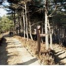 녹색길 네이버블로그