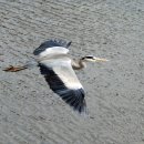 예소담도두점 이미지