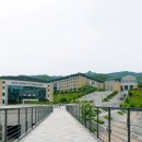부산외국어대학교 교육대학원 국제신문