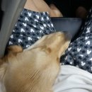 태양이네민박 네이버블로그