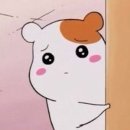 Most 417(모스트417) 이미지