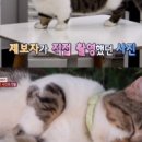 이동국농장 네이버블로그
