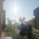 세교동 소로 3-8 | [공지] 평택 세교동 빵집 &#39;폴디드&#39; 5트 만에 성공한 내돈내산 오픈런 후기 (페이스트리 빵 맛집, 평택...