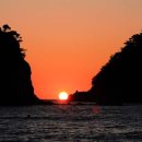 코스모스농원 이미지