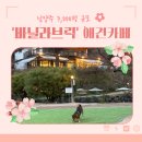 167 | 남양주 3,000평 역대급 뷰 대형 애견카페 '바닐라브릭'-(내돈내산) 솔직후기 (소형견, 대형견 존 O)