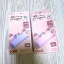 도킹호텔 | 1+1 도킹형 일체형 2in1 미니 5000mAh 보조배터리 C 타입 8핀