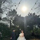 공언니펫살롱 | [W.12] 무이스튜디오 한남점 오후B타입 촬영후기 /장수범 작가님/ 브라이덜공 촬영드레스