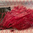 미성목장 이미지