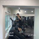 더라인핏 이미지