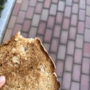 다교몰