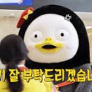 와이패키지