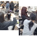 [ 홍대미용학원 ] 미용실무학원 미용실무반 헤어실무반 국비지원되는 헤어미용학원