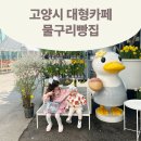 물나들이 | [아기랑 가족나들이] 고양시 대형카페 물구리빵 방문후기