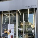 레인 3020 (Lane 3020) 이미지