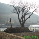 뒷개(후포)마을 해안도로 이미지