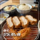 마곡 우동 키노야 내돈내산 솔직후기