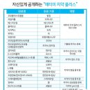 수지애터미