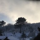 변기천 이미지