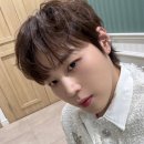 플레로마 이미지