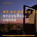 제주감성독채숙소스테이비움