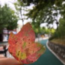 흥덕초등학교 정문 앞 이미지