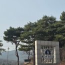 베어크리크골프클럽 | 포천베어크리크 크리크코스 25년 봄라운딩 후기 양잔디