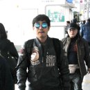 골드독스 이미지