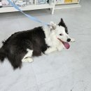 지에스25 후암퍼스트점