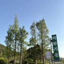 김제 모악산 등산 후 꼭 들려야 할 맛집, 내돈내산 락원가든 닭백숙 솔직후기