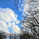 WR(서울특별시 중구)-[퇴계로]-상-64 | 문화유산 방문자 여권 스탬프 위치 (종묘-창덕궁-한국의집), 문화유산여권 신청법