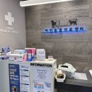 아인동물의료센터 | [청주] 복대동 동물병원 / 아인동물병원, 아인동물의료센터 방문 후기 :)