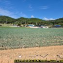 월촌마을회관 이미지