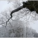 설경 (雪景) 이미지