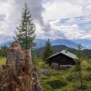 영희랑 바둑이랑 애견미용실 이미지