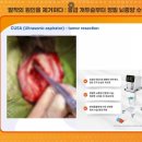 안단테 동물의료센터 이미지